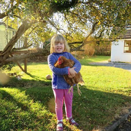 Heatherhill Farm Cottage In Letterfrack Beside Connemara National Park エクステリア 写真