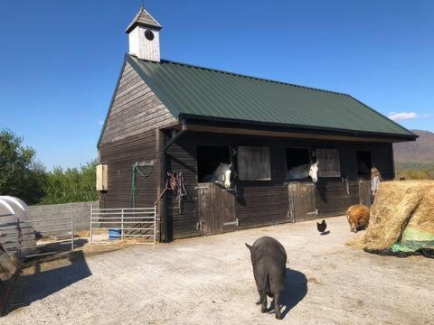 Heatherhill Farm Cottage In Letterfrack Beside Connemara National Park エクステリア 写真